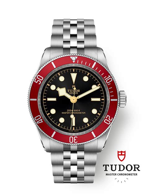 black tudor black bay